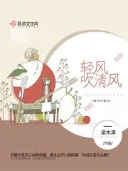 《轻风吹清风》小说封面