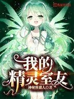 《我的精灵室友》小说封面