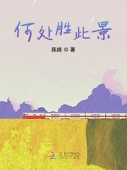 《何处胜此景》小说封面