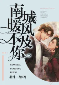 《南城暖风不及你》小说封面
