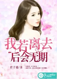 《我若离去,后会无期》小说封面