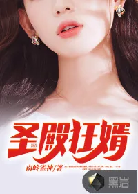 《圣殿狂婿》小说封面