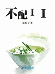 《不配II》小说封面