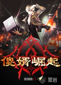 《傻婿崛起》小说封面