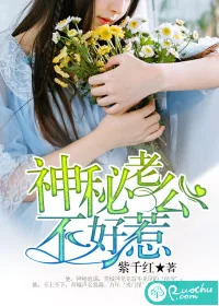《神秘老公不好惹》小说封面