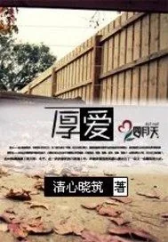《厚爱》小说封面