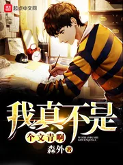 《我真不是个文青啊》小说封面
