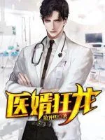 《医婿狂龙》小说封面