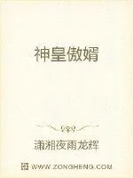 《神皇傲婿》小说封面