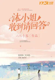 《沐小姐收到请回答》小说封面
