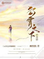 《云霄之下的软肋》小说封面