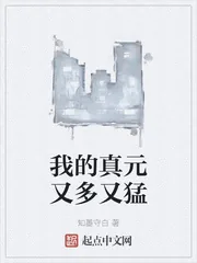《我的真元又多又猛》小说封面