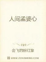 《人间孟婆心》小说封面
