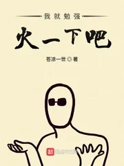 《我就勉强火一下吧》小说封面