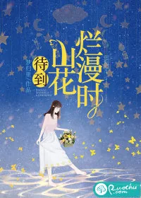 《待到山花烂漫时》小说封面