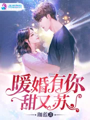《暖婚有你甜又苏》小说封面
