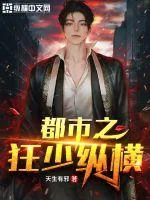 《都市之狂少纵横》小说封面
