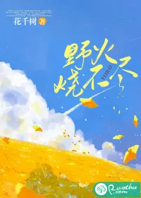 《野火烧不尽》小说封面