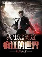 《我想逃离这疯狂的世界》小说封面