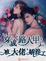 《穿成路人甲后被大佬娇养了》小说封面
