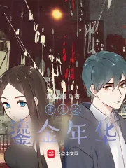 《重生之鎏金年华》小说封面