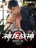 《神龙战神》小说封面