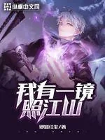 《我有一镜照江山》小说封面