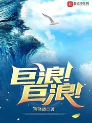 《巨浪！巨浪！》小说封面