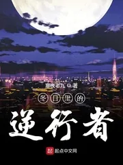 《冬日里的逆行者》小说封面