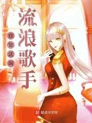 《你管这叫流浪歌手？》小说封面