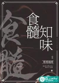 《食髓知味》小说封面