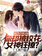 《说好单身,你却被校花女神狂撩?》小说封面