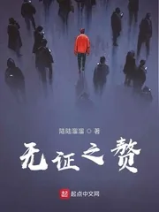 《无证之赘》小说封面