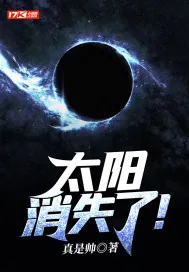 《太阳消失了！》小说封面