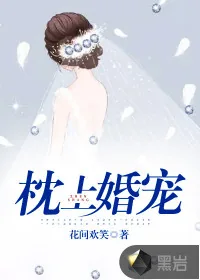 《枕上婚宠》小说封面
