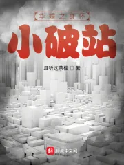 《华娱之身怀小破站》小说封面