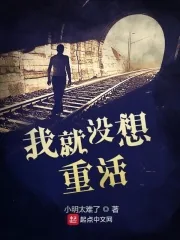 《我就没想重活》小说封面