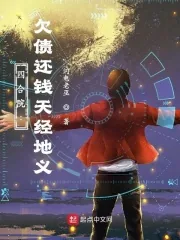 《四合院：欠债还钱天经地义》小说封面
