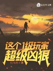《这个1级玩家超级凶狠》小说封面