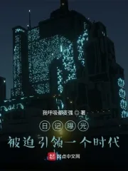 《日记曝光,被迫引领一个时代》小说封面