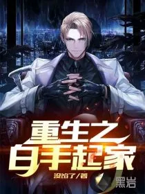 《重生之白手起家》小说封面