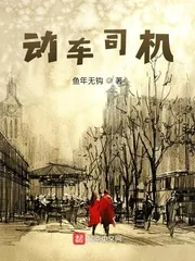 《动车司机》小说封面