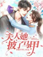 《夫人她披了马甲》小说封面