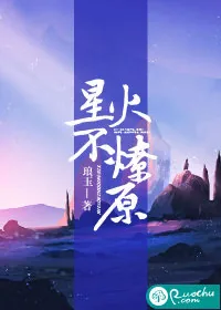 《星火不燎原》小说封面