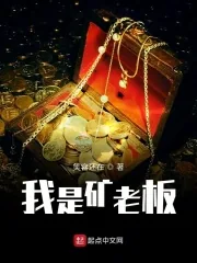 《我是矿老板》小说封面