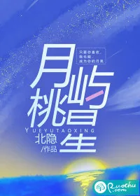 《月屿桃星》小说封面
