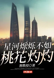 《星河烁烁不如桃花灼灼》小说封面