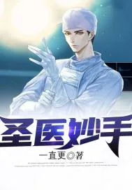 《圣医妙手》小说封面