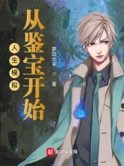 《人生模拟：从鉴宝开始》小说封面