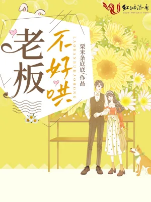 《老板不好哄》小说封面